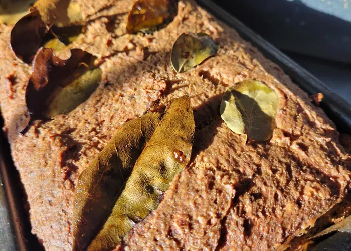 Monte Neve Bed & Breakfast